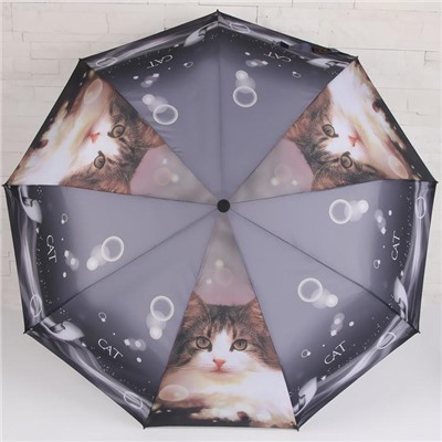 Зонт полуавтоматический «Кошки», 3 сложения, 9 спиц, R = 50, цвет МИКС