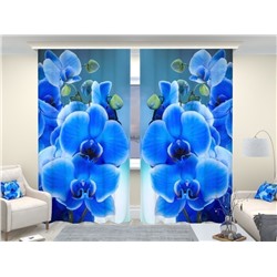 Фотошторы люкс Голубая орхидея