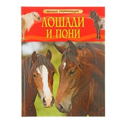 Детская энциклопедия «Лошади и пони»
