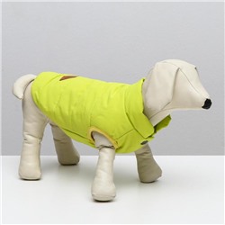 Куртка для собак, S (ДС 20 см, ОШ 23 см, ОГ 32 см), жёлтая