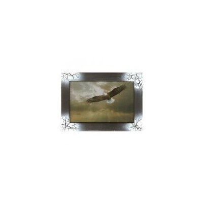 Картина Фен-Шуй Птицы 14х19см 058 Орел летящий к солнцу, узкая черно-белая рама SH
