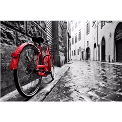3D Фотообои «Красный велосипед на черно белой улочке»