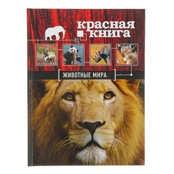 Красная книга «Животные мира». Скалдина О. В., Слиж Е. А.