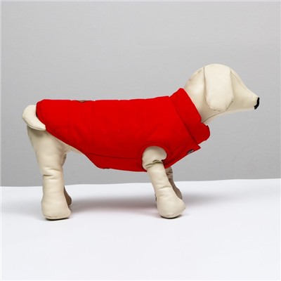 Куртка для собак, S (ДС 20 см, ОШ 23 см, ОГ 32 см), красная
