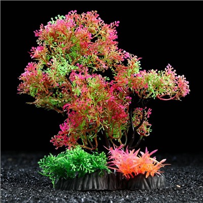 Растение искусственное аквариумное, 25 см, розово-зелёное