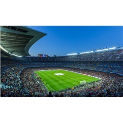 3D Фотообои  «Стадион»