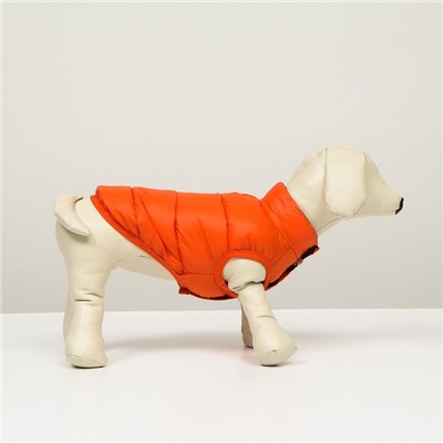 Куртка для собак двухстороння с принтом,  размер 8 (ДС 23 см, ОГ 30, ОГ 22 см), коралловая