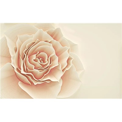 3D Фотообои «Изысканная роза»