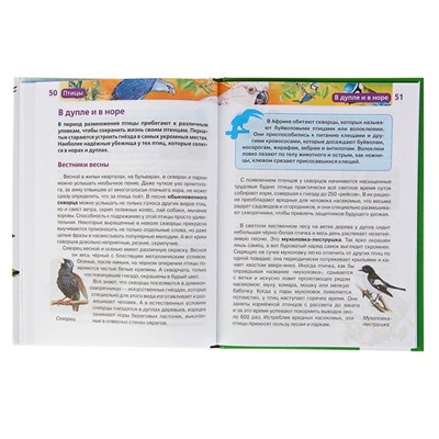 Детская энциклопедия «Птицы»