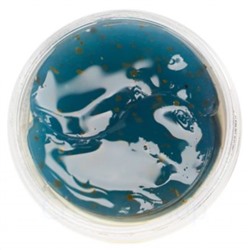 L.SANIC Гидрогелевые  патчи с экстрактом голубой агавы, 60 шт.