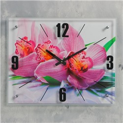 Часы настенные, серия: Цветы, "Орхидея", 40х50  см, микс