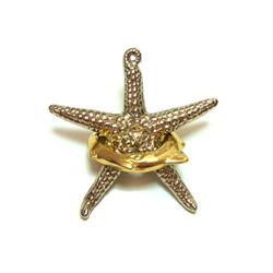 Металлическая головоломка Starfish Морская звезда