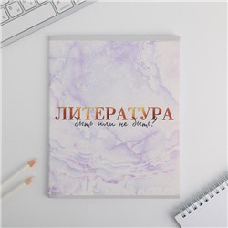 Предметная тетрадь, 48 л МРАМОР со справ. мат. «Литература»