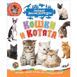 Энциклопедия «Кошки и котята»