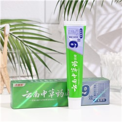 Зубная паста китайская традиционная двойная мята 9 эффектов, 110г