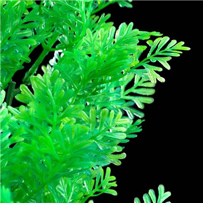 Растение искусственное аквариумное, 28 см, зелёное, 1 шт.