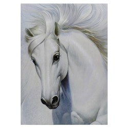 Картина-холст на подрамнике "Белый конь"  50х70 см
