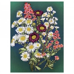Набор для вышивания лентами "Полевые цветы" 18,5х25,5см кл(н) 4003