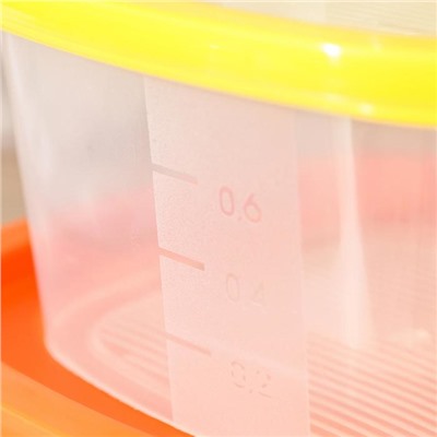 Набор контейнеров квадратных BioFresh, 4 шт: 0,23 л, 0,5 л, 0,9 л, 1,55 л, цвет МИКС