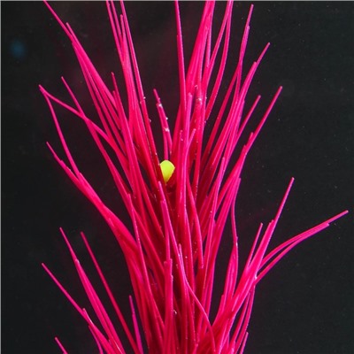 Растение силиконовое аквариумное, светящееся в темноте, 8 х 18 см, красное