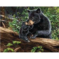 Картина по номерам 40х50 - Медведица с медвежонком