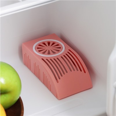 Поглотитель запаха для холодильника, 13×7 см, цвет МИКС