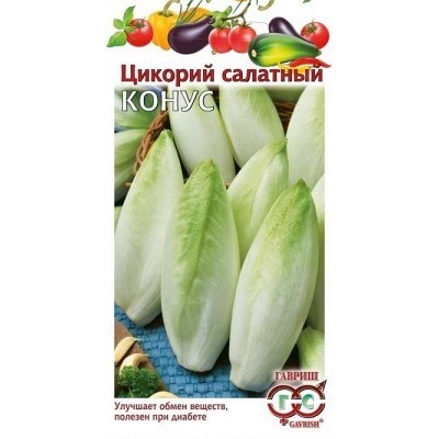 00594 Цикорий салатный (Витлуф) Конус* 0,1 г