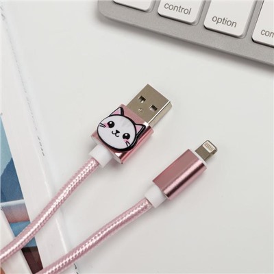Набор: держатель для провода и кабель USB iPhone «Чудеса», 1 м