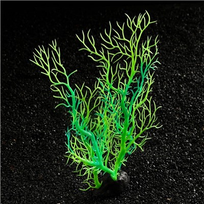 Растение искусственное аквариумное, светящееся, 25 см, зелёное