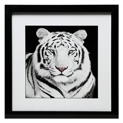 Картина "Белый тигр" 35х35(39х39) см