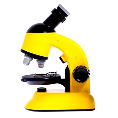 Микроскоп детский «Юный ученый» кратность х100, х400, х1200, подсветка, цвет жёлтый