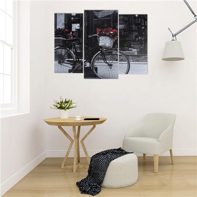 Модульная картина "Чёрно-белый велосипед"  (2-25х52; 1-30х60) 60х80 см
