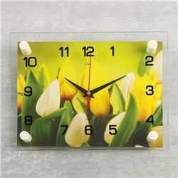 Часы настенные, серия: Цветы, "Тюльпаны", 20х26 см  микс