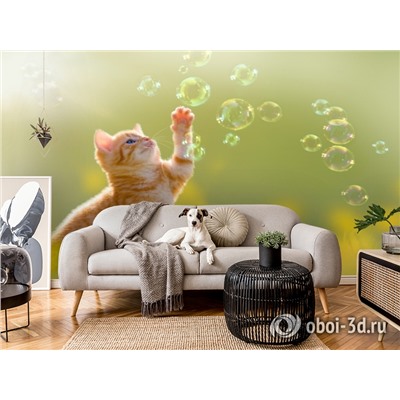 3D Фотообои «Рыжий кот с мыльными пузырями»