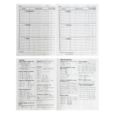 Дневник для 5-11 классов Paul Frank, интегральная обложка, матовая ламинация, выборочный УФ-лак, тиснение фольгой, 48 листов