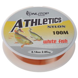 Леска White fish, d=0,14 мм, 100 м