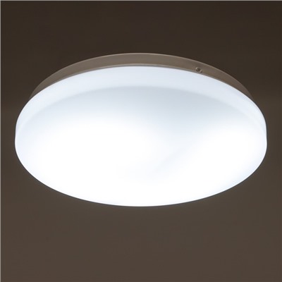 Светильник 2706/1m LED 12Вт 4000К белый d.20 см
