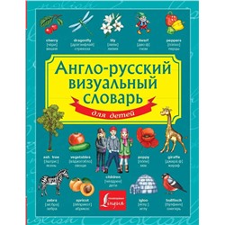 Англо-русский визуальный словарь для детей 2019