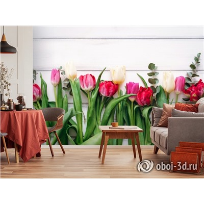 3D Фотообои  «Композиция из тюльпанов»