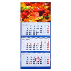 Календари квартальные трио "Природа, 2021 - 8" 31 х 69 см