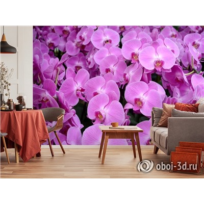 3D Фотообои «Ковер из орхидей»