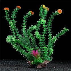 Растение искусственное аквариумное на платформе в виде коряги, 40 см, зелёное, 1 шт.