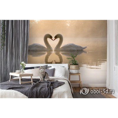 3D Фотообои «Влюбленные лебеди»