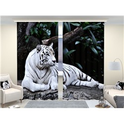 Фотошторы люкс Белый тигр