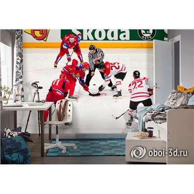 3D Фотообои  «Хоккей»