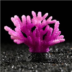 Декоративный коралл "Акропора" силиконовый, светящийся, 7,5 х 9 см, фиолетовый