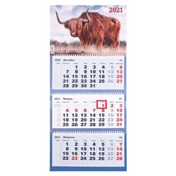 Календари квартальные трио "Символ года, 2021-3" 31 х 69 см
