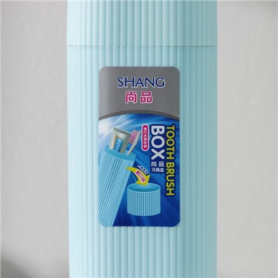Футляр для зубной щётки и пасты, 19,5 см, цвет МИКС