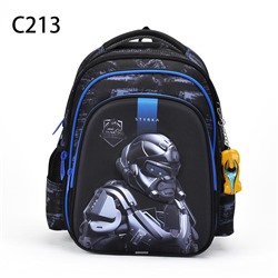 C213