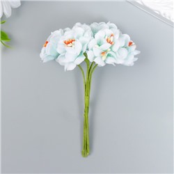 Цветы для декорирования "Пион Лоллипоп" 1 букет=6 цветов бело-бирюзовый 9 см
